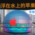 【4K｜高能探店!!!】阿土带你看世界上第一家浮在水上的苹果店！看看Insta360 ONE R都拍到了啥！