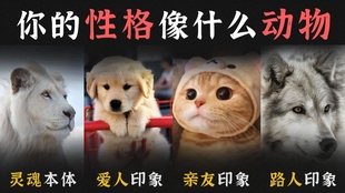 a90c92d02fc7ec400b1d9a225e5599a6f478acbd.jpg@310w_174h_1c_100q.jpg