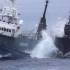 澳“海洋守护者”与日本捕鲸船的6次史诗级对决！