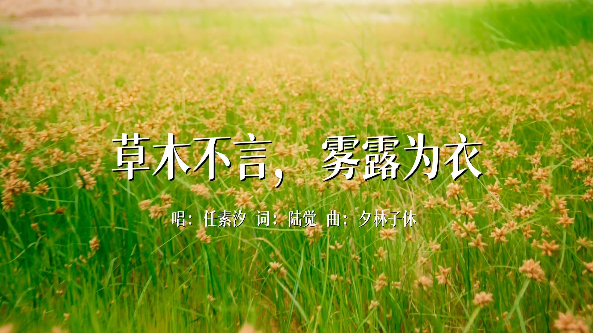 任素汐新歌《草木不言，雾露为衣》，听到最后眼泪终于止不住了