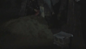 如何射到末影人 a929b9e440af6fd5cfae33fc9aa57b034a9ab271.jpg@280w_158h_1c_100q.jpg