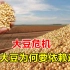 大豆起源于中国，为何现在80%靠进口？三分钟了解真相