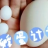 为完成儿时孵蛋梦想，小伙人工孵化超小鹦鹉蛋，能成功吗？