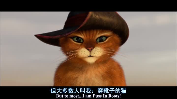 [穿靴子的猫 2011] [疯狂动物城 2016] 撩妹争夺赛图片