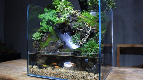 a94a8bf05c9c6b2171efbd383b0919977f5ce38b.jpg@480w_270h_1c