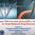 用于小分子药物发现的智能 DNA 编码化合物库 iDEL 技术