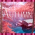 ⚜4K超清⚜ «秋天» 3小时?令人惊叹的风景和美妙的放松音乐
