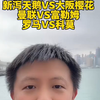 新泻天鹅vs大阪樱花 曼联vs富勒姆 罗马vs科莫 赛事解析