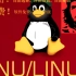 Linux体系及编程