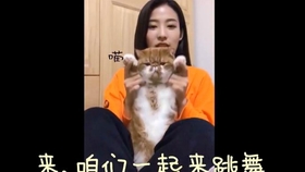 a9a4e56ff9fcfde0920c159b89323d117f2696d7.jpg@280w_158h_1c_100q.jpg