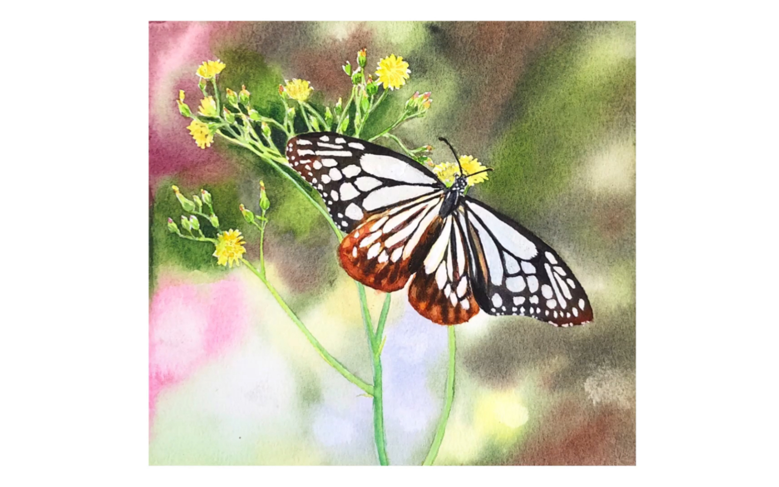 《水彩动物》蝴蝶上色6_哔哩哔哩_bilibili