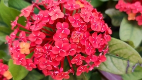 a9c448f49f80a2e98dd3499638178e70f878a4a1.jpg@280w_158h_1c_100q.jpg