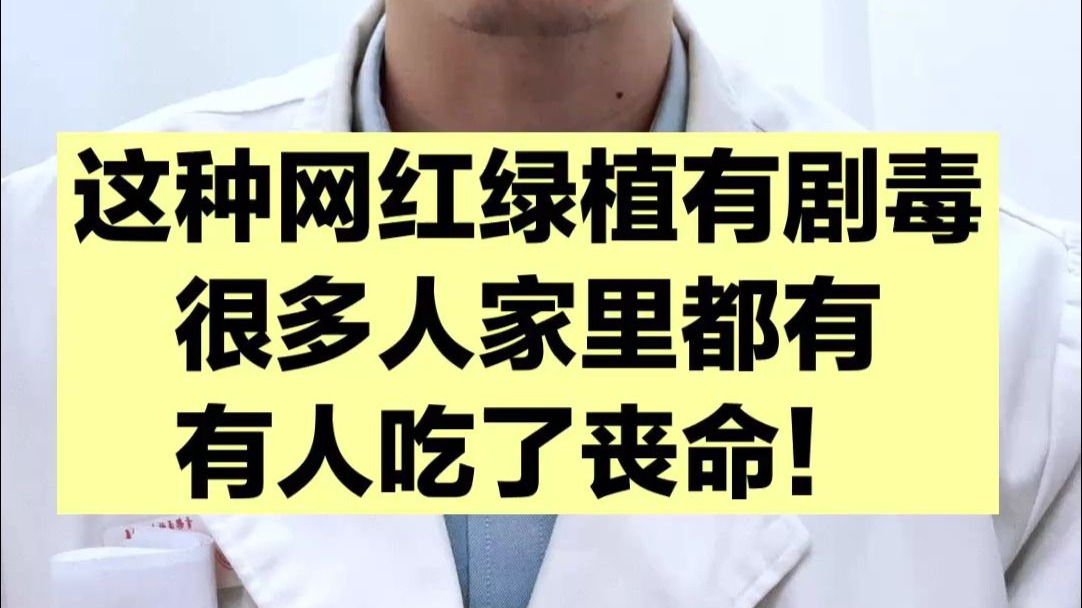 酷似芋头的绿植，接触了会中毒，甚至丧命，没有特效药！