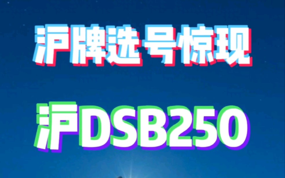 沪牌选号惊现沪DSB250
