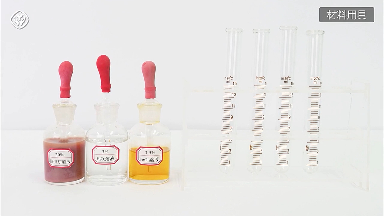 1_5.1.1 比较过氧化氢在不同条件下的分解