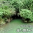【世界遗产】20210131「洞窟河川が生んだ！絶景の渓谷」