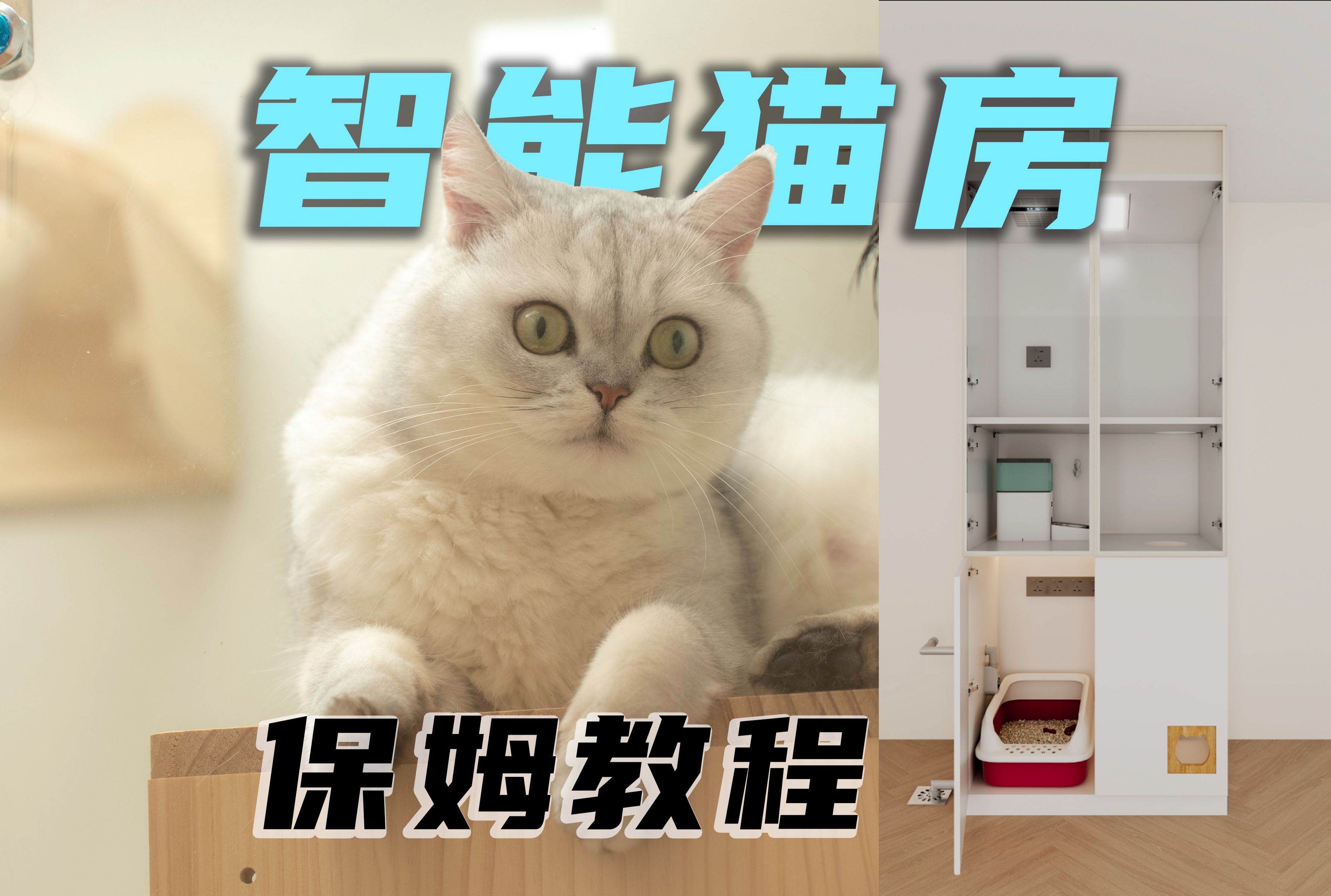 全网唯一智能猫屋保姆级教程，无广！纯干货！