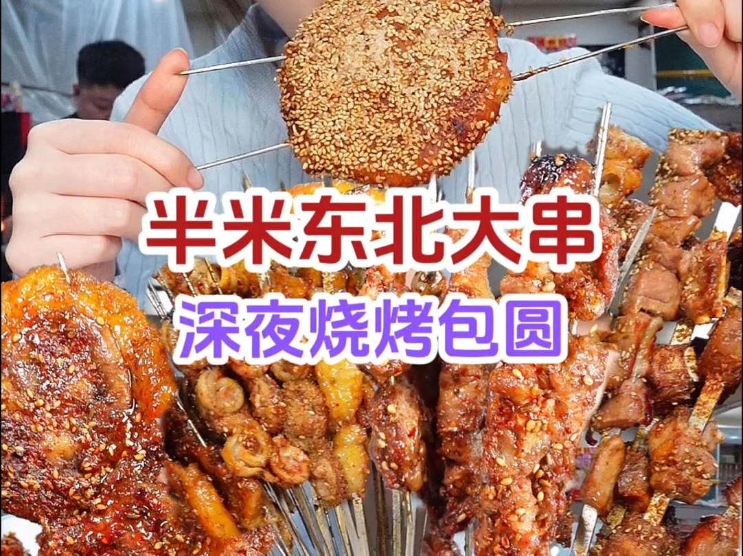 半米东北大串再次震惊南方小土豆，深夜烧烤吃到爽～