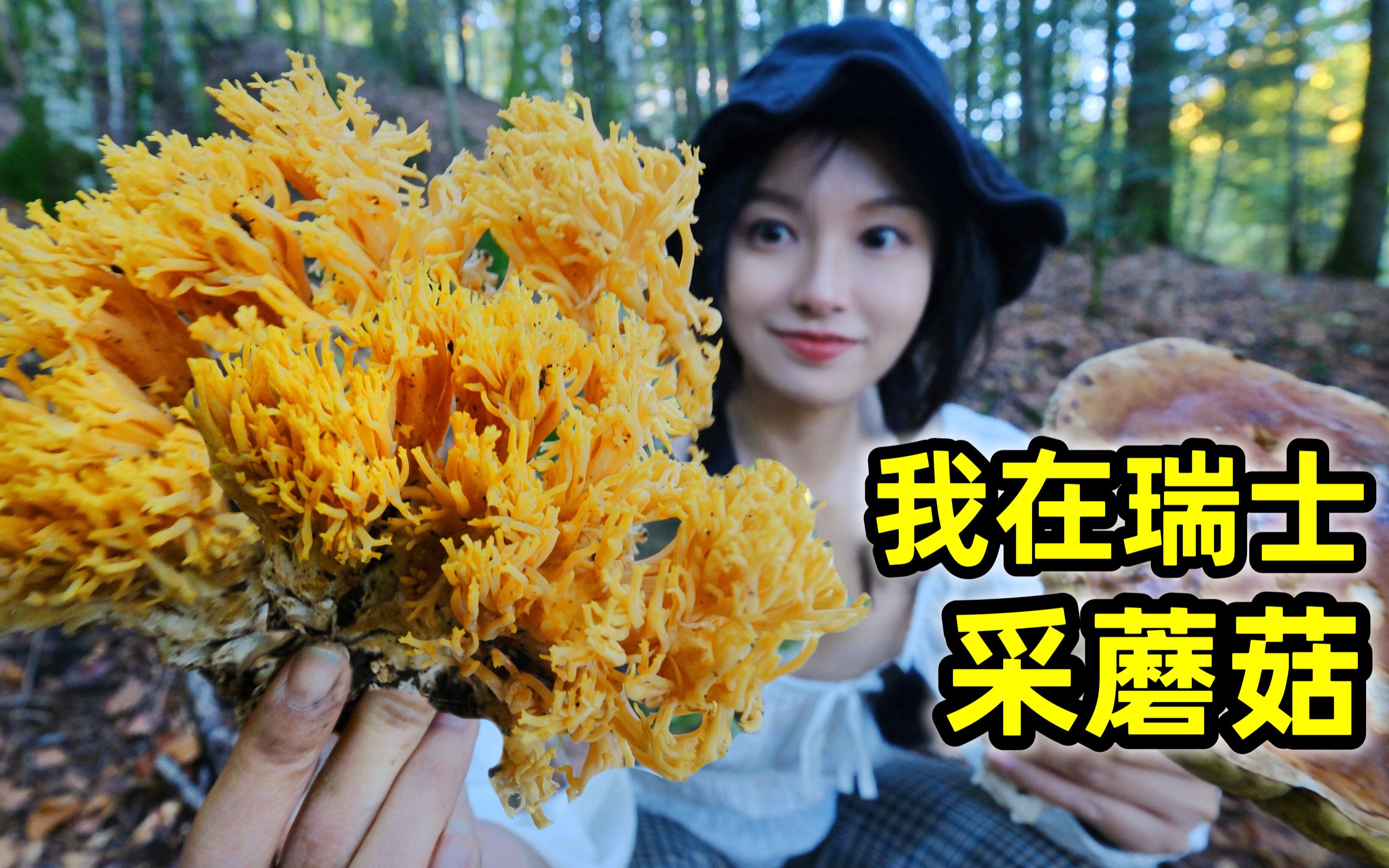 在瑞士采蘑菇，300元一斤形似金珊瑚，你敢吃吗？