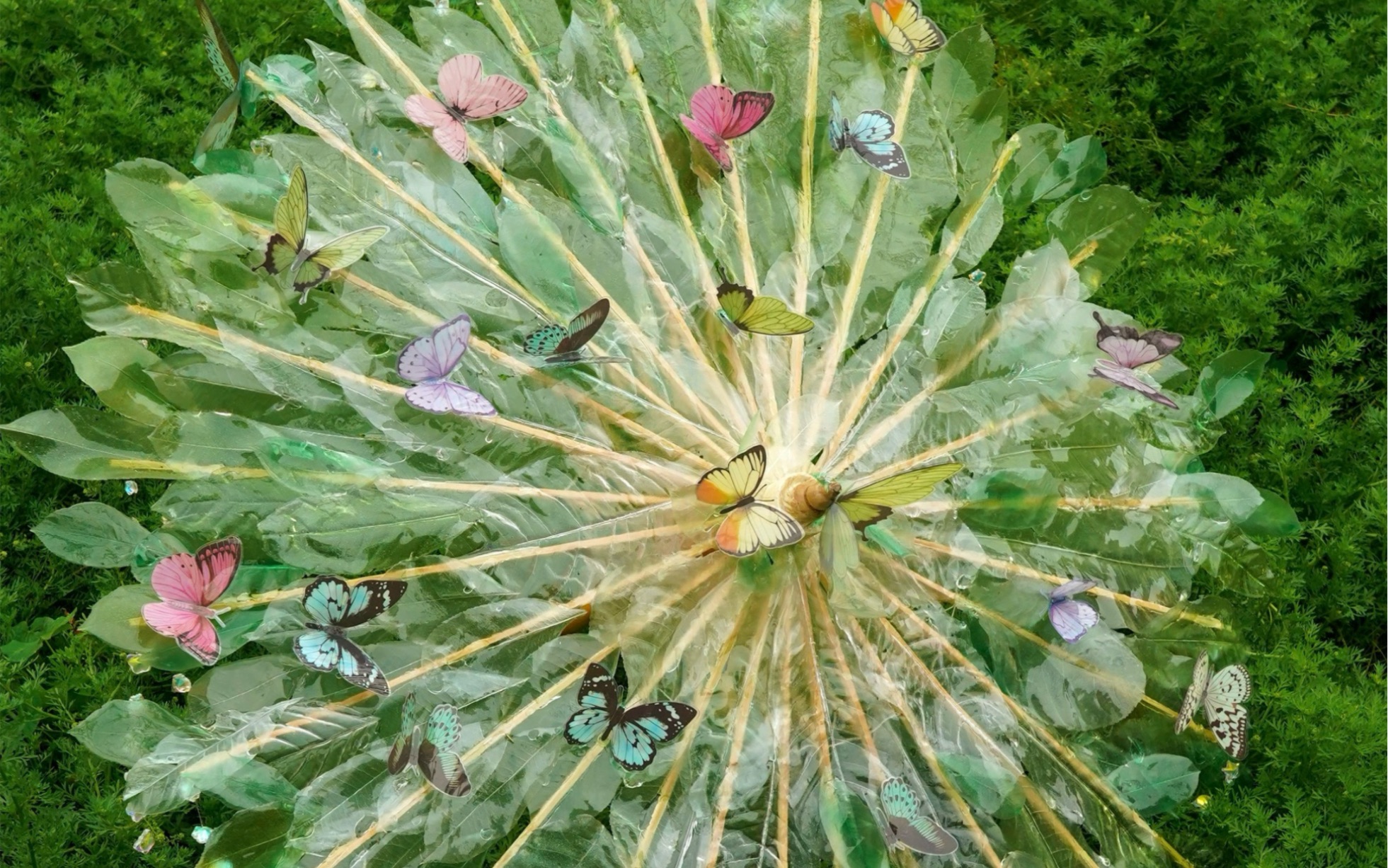 小区里发现一大堆落叶🍂 于是......