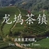 【社会实践调研】新发展理念下茶文化特色小镇——龙坞茶镇的振兴之路