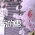 【Vlog】留学日记1——3月29日东京的雪