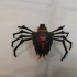 瞬间留影B站第11期：这个蜘蛛有点毒 变形金刚王国系列-加强级D级.黑寡妇