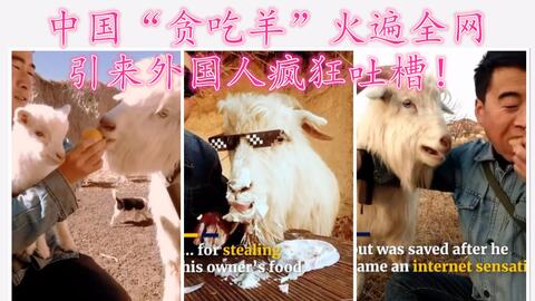 aa390ed2a0a2cc5beba17940a66472ddbe15b78c.jpg@480w_270h_1c