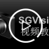 SGVision视频教程