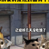 当你拆家时发现对面有个圣母