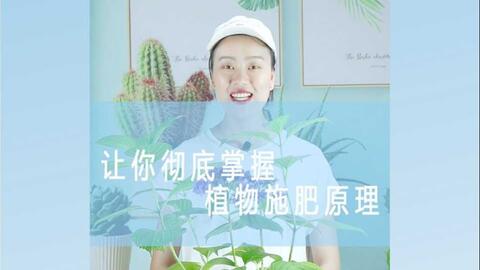 aaa0580e8359ded141d0f65a2b0d589d7d40dc24.jpg@480w_270h_1c