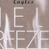 【Eagles】老鹰乐队 1994 冰封地狱 演唱会（DVD DTS音效 1080P 60FPS 英文字幕）