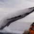近距离观鲸-鲸鱼突然跃出