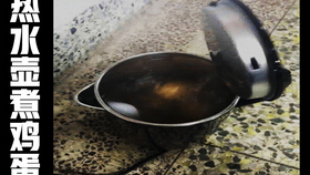 烧水壶怎么煮鸡蛋才能煮熟 aadacbeb96ed83421cc77713b5bdbfb2942b37b4.png@280w_158h_1c_100q.jpg