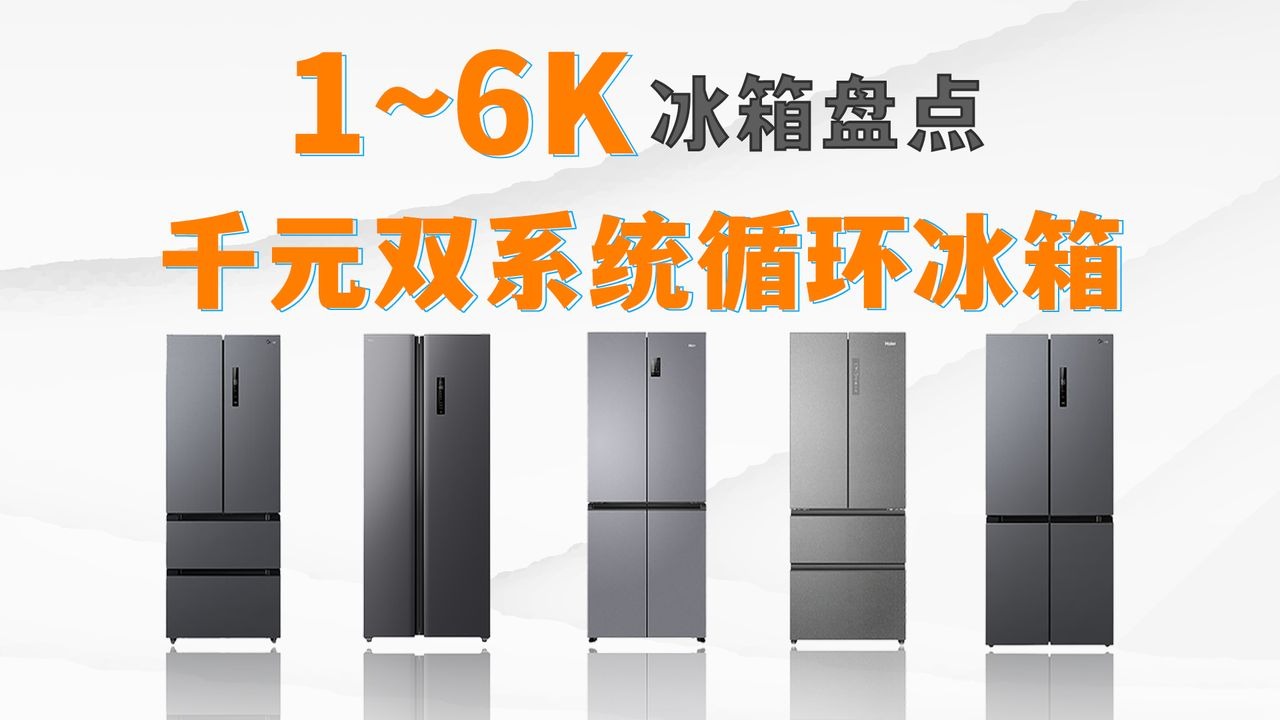 冰箱选购千元篇1千块能买到双系统冰箱？有没有适合长辈用的冰箱？租房党冰箱怎么买？一条视频讲清楚！附1~6K海尔、美的、容声、华凌、统帅、TCL、海信冰箱推荐