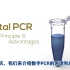 实验原理_数字PCR