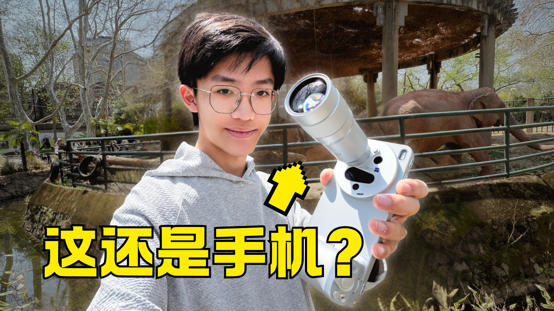 带手机大炮去动物园，能拍到什么？