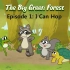 The  Big Green Forest（1-6集，共24集）英语启蒙动画片 视频+音频+pdf故事书
