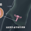 你的处女膜是啥样的？ #科普