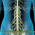 【3D医学动画】腰麻（脊髓和硬膜外麻醉）