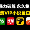 【全网付费VIP小说免费观看】Python爬虫一键白嫖任何付费小说，源码可分享，免费下载并保存为TXT文件，白嫖的快乐