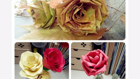 ab4aea3aa05d622e7996a6031283d6144f3d0058.jpg@480w_270h_1c