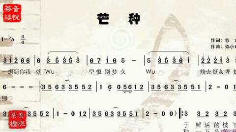 有声曲谱大全_缓揭帘勿有声图片大全(3)