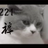 【BC221】棉裤单猫出道Teaser