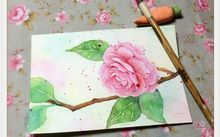 正式第一弹,山茶花的水彩上色过程