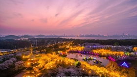 ab8362a5cb56667647dbfc8bccc8d965e2e4c8f4.jpg@280w_158h_1c_100q.jpg