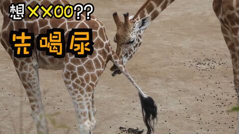 ab9db7f0c191c45ac24d0300324712aca405cc8a.jpg@480w_270h_1c