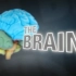 【HD纪录片】人脑 The Human Brain