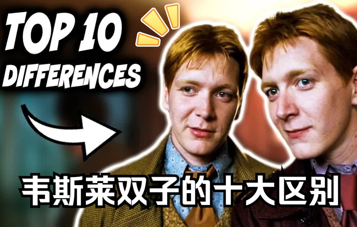 【hp】韦斯莱双子两人之间的十大差异