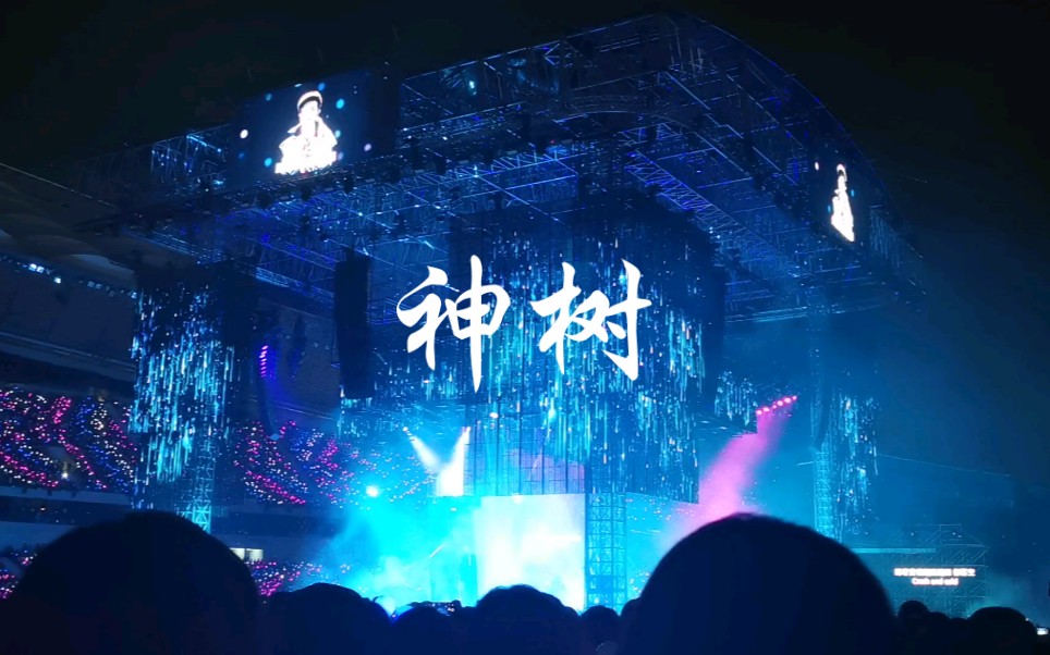 华晨宇2019海口演唱会神树饭拍live